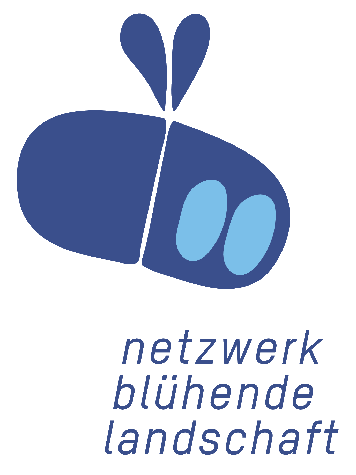 Logo NBL
